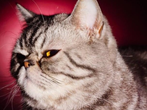 人家已經(jīng)用了一年多的指紋鎖了，而你還在質(zhì)疑它？