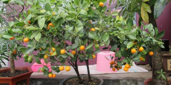 有了深圳指紋鎖，告別鑰匙開門